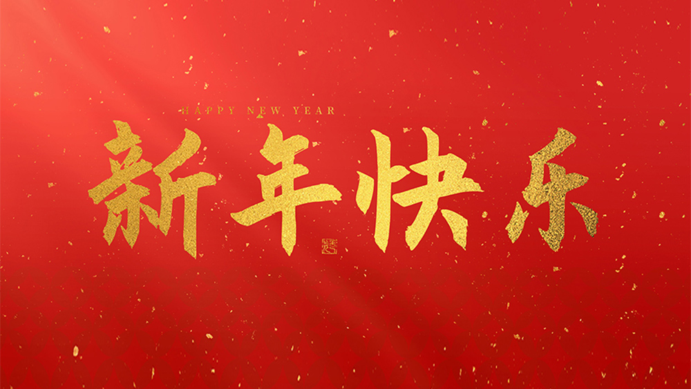 麗水市威儀自動(dòng)化技術(shù)有限公司祝全國(guó)人民2024年新年快樂(lè)！